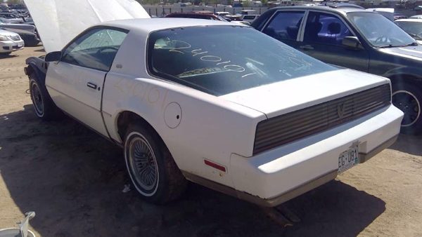 1983 Pontiac Firebird — vehicle photo 7
