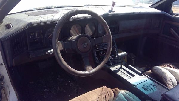 1983 Pontiac Firebird — vehicle photo 5