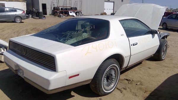 1983 Pontiac Firebird — vehicle photo 8