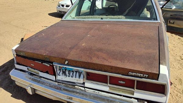 1979 Chevrolet Caprice Trunk/decklid/hatch/tailgate Gray — photo 2