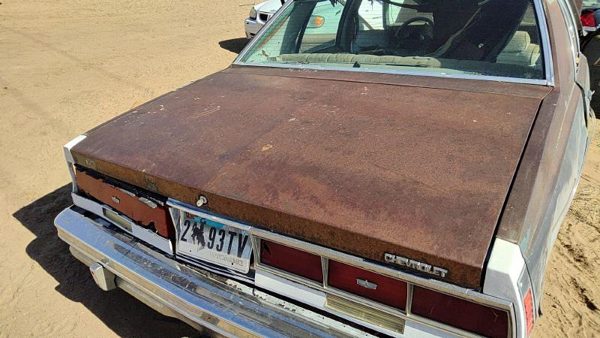 1979 Chevrolet Caprice Trunk/decklid/hatch/tailgate Gray — photo 4