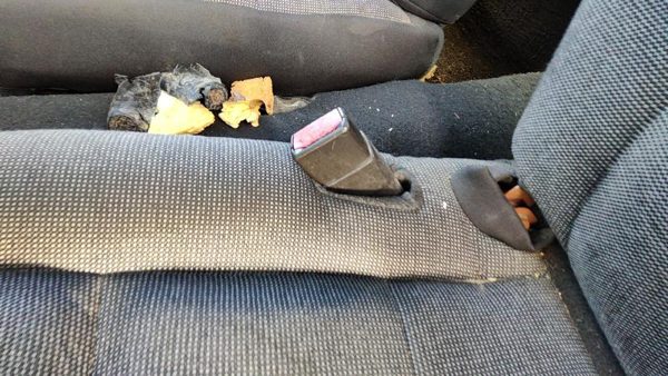 2005 Ford Crown Vic Driver Left Front Seat Belt Buckle Receiver Oem Black — photo 1