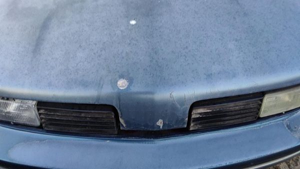 1989 Oldsmobile Cutlass Supreme Hood Blue 12512561 — photo 5