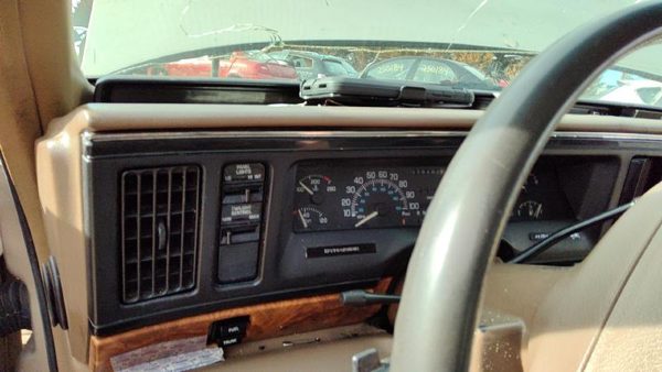 1994 Buick Park Ave Trim Bezel Around Radio Surround Dash Panel Oem Tan 25629620 — photo 7