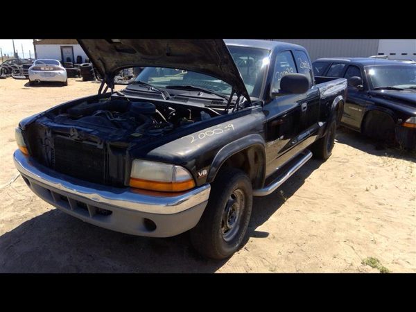 1999 Dodge Dakota — vehicle photo 4