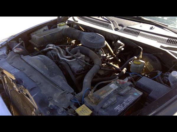 1999 Dodge Dakota — vehicle photo 3