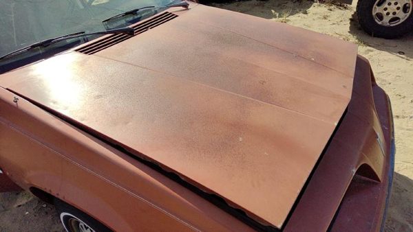 1985 Pontiac Sunbird Hood Brown Hail 22538676 — photo 1