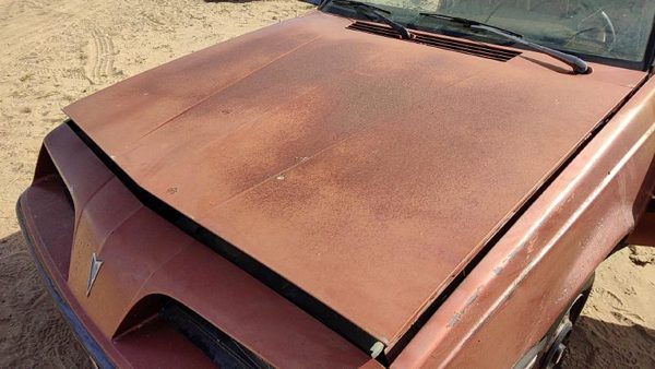 1985 Pontiac Sunbird Hood Brown Hail 22538676 — photo 2