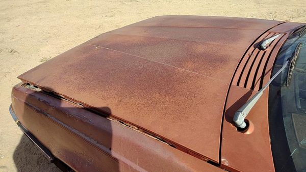 1985 Pontiac Sunbird Hood Brown Hail 22538676 — photo 3