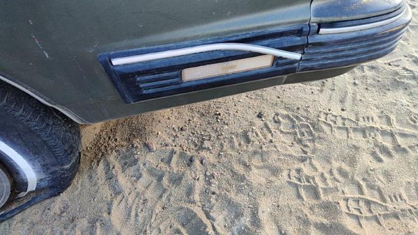 1982-1991 Pontiac 6000 Passenger Right Moulding From Fender Oem Trim Strip — photo 2