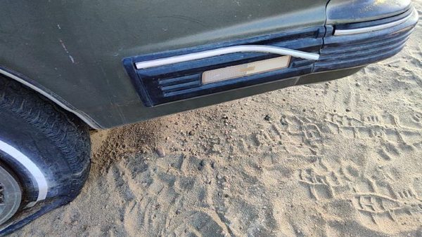 1982-1991 Pontiac 6000 Passenger Right Moulding From Fender Oem Trim Strip — photo 1
