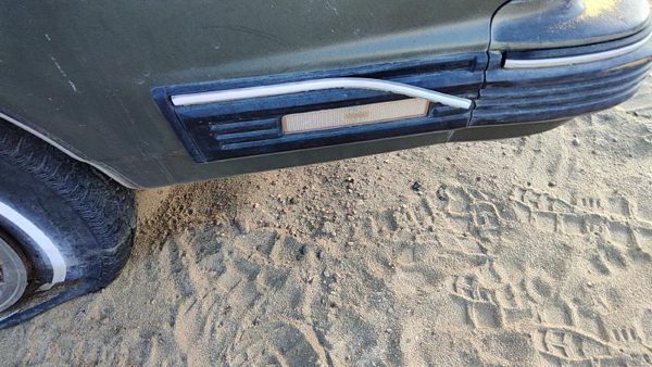 1982-1991 Pontiac 6000 Passenger Right Moulding From Fender Oem Trim Strip — photo 3