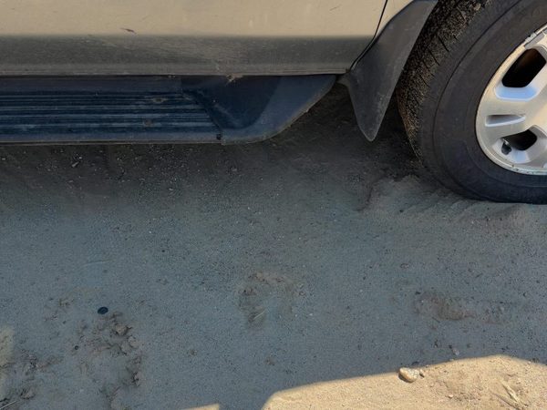 2001 Acura MDX Rocker Moulding RH — photo 6