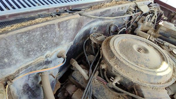 1979-1985 Gmc Sierra C3500 Ignition Distributor Oem 5.7L 01103375 — photo 2