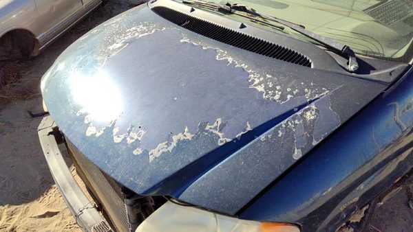 2001 Dodge Caravan Hood Blue — photo 2