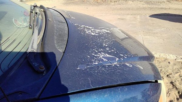 2001 Dodge Caravan Hood Blue — photo 5
