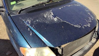 2001 Dodge Caravan Hood Blue
