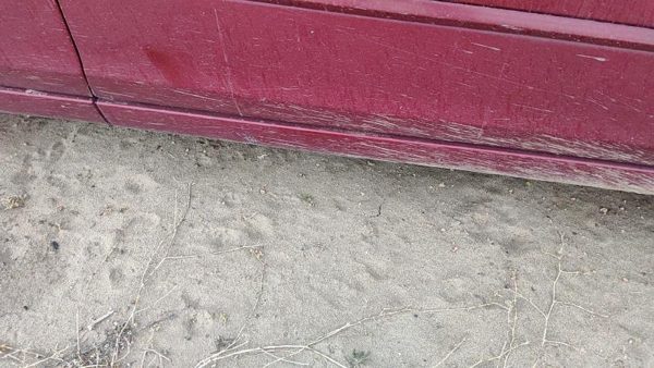 02-06 Nissan Altima Passenger Right Front Lower Rocker Panel Moulding Side Skirt — photo 4