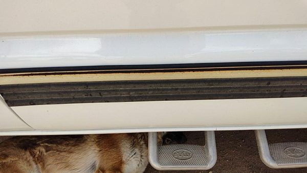 99-02 Silverado 2500 Hd Passenger Right Front Moulding From Door Trim Strip — photo 3