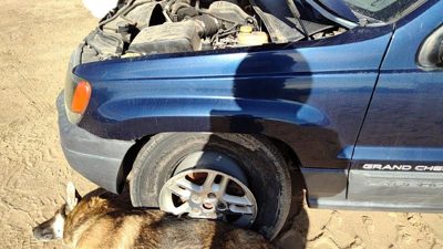 1999-2004 Jeep Grand Cherokee Driver Left Front Fender Oem Blue Pb8 55135901Ac