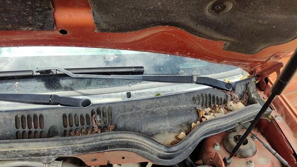 2005-2010 Chevy Cobalt Driver Left Windshield Wiper Arm Oem Blade Lever 22695009 — photo 2