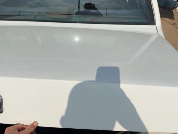 1986 Oldsmobile 98 Trunk/decklid/hatch/tailgate White — photo 3