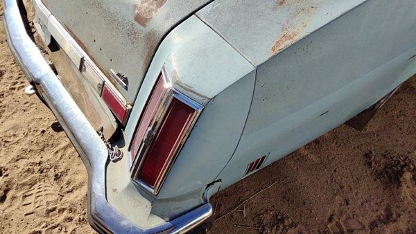 1975 Olds Cutlass Quarter Panel Moulding RH Blue — photo 2