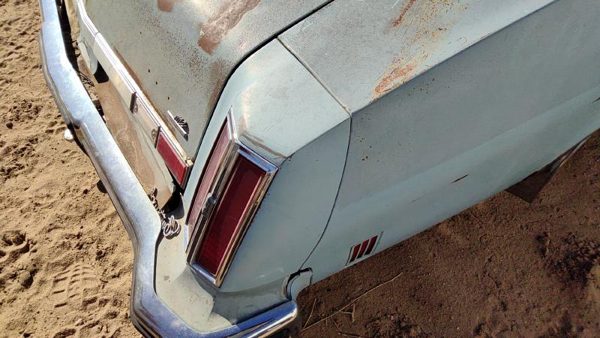 1975 Olds Cutlass Quarter Panel Moulding RH Blue — photo 3