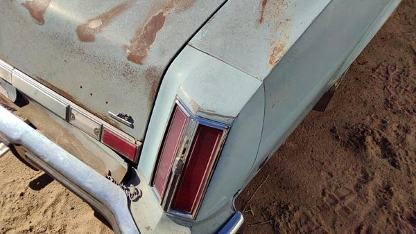 1975 Olds Cutlass Quarter Panel Moulding RH Blue — photo 4