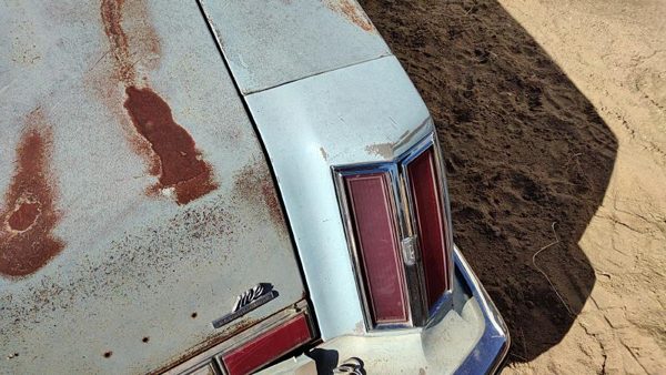 1975 Olds Cutlass Quarter Panel Moulding RH Blue — photo 7