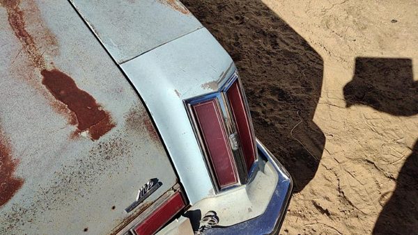 1975 Olds Cutlass Quarter Panel Moulding RH Blue — photo 8