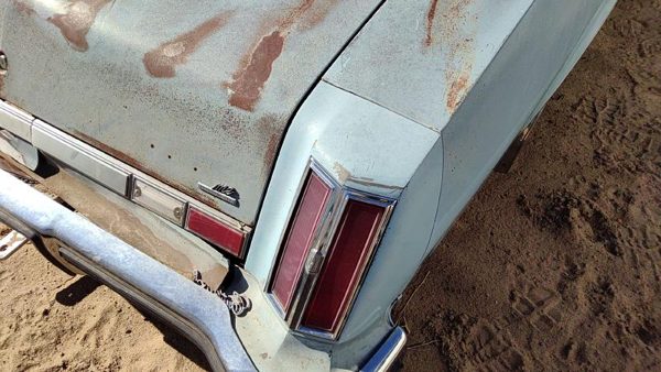 1975 Olds Cutlass Quarter Panel Moulding RH Blue — photo 9