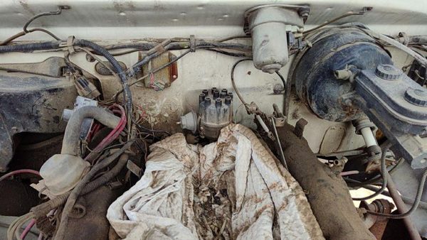 1981-1984 Dodge Ram W250 Ignition Distributor Oem 5.2L 3755202 — photo 2