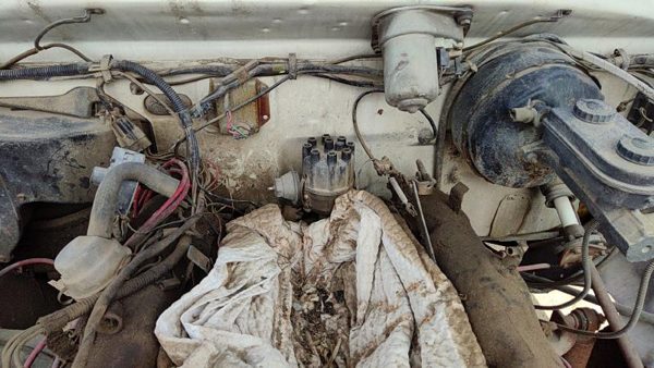 1981-1984 Dodge Ram W250 Ignition Distributor Oem 5.2L 3755202 — photo 3