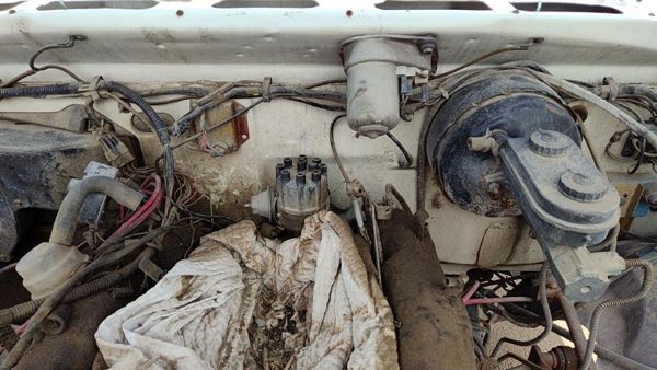 1981-1984 Dodge Ram W250 Ignition Distributor Oem 5.2L 3755202 — photo 5