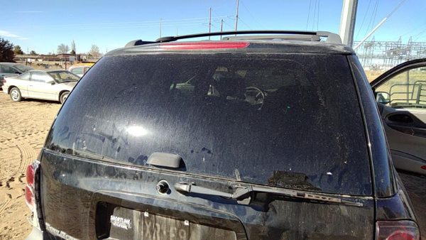 2002-2009 Chevy Trail Blazer Back Glass Rear Window Oem 25917707 — photo 1