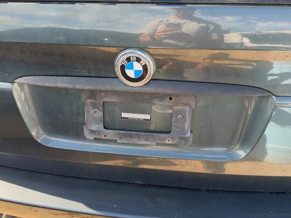 2000-2006 Bmw X5 License Plate Trim Surround Panel Oem Tail Trunk Finish E53 — photo 2