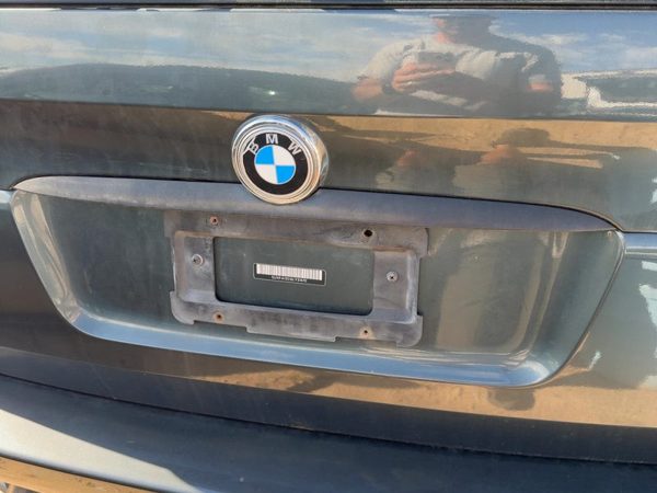 2000-2006 Bmw X5 License Plate Trim Surround Panel Oem Tail Trunk Finish E53 — photo 4