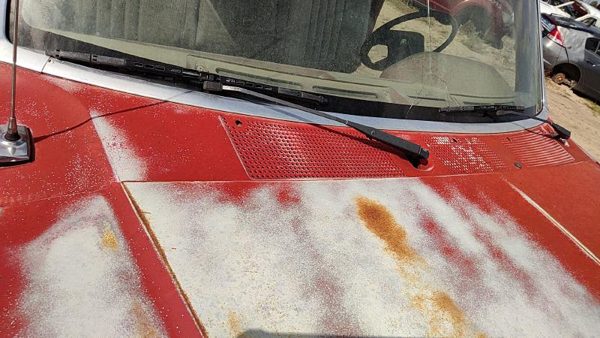 1988 Ford F150 Cowl Vent Panel/screen — photo 3