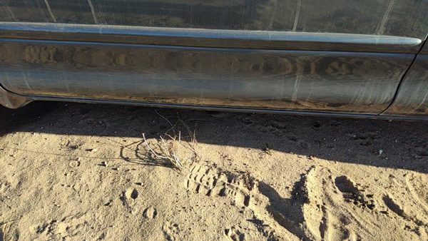 00-04 Dodge Intrepid Driver Left Front Lower Rocker Panel Moulding Side Skirt — photo 3