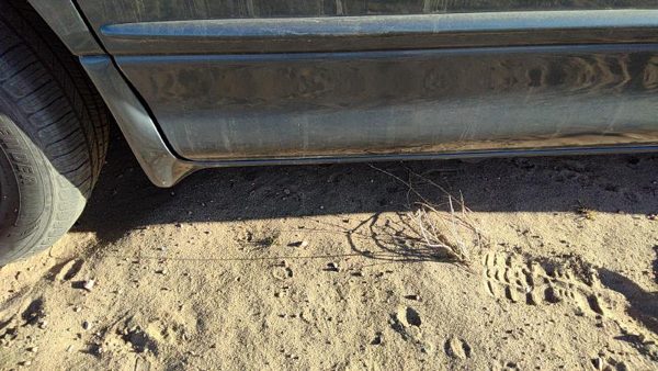 00-04 Dodge Intrepid Driver Left Front Lower Rocker Panel Moulding Side Skirt — photo 5
