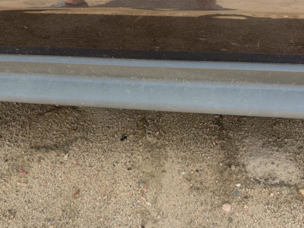 2010-2017 Chevy Equinox Driver Left Front Moulding From Door Oem Trim Strip — photo 2