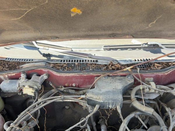 1986-1988 Nissan Maxima Passenger Right Windshield Wiper Arm Oem Blade Lever — photo 2