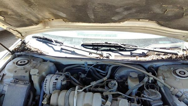 04-08 Pontiac Grand Prix Windshield Wiper Cowl Vent Trim Panel Oem Cover — photo 1