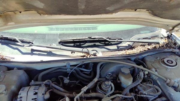 04-08 Pontiac Grand Prix Windshield Wiper Cowl Vent Trim Panel Oem Cover — photo 3