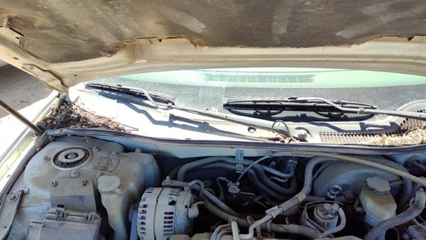 04-08 Pontiac Grand Prix Windshield Wiper Cowl Vent Trim Panel Oem Cover — photo 2