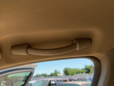 2000-2006 Lincoln LS Passenger Right Upper Grab Handle OEM Tan 4H Interior