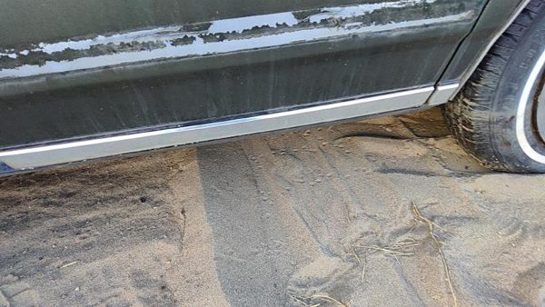 1982-1991 Pontiac 6000 Driver Left Rear Moulding From Door Oem Back Trim Strip — photo 4