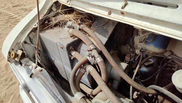 1971-1977 Dodge Van B200 Blower Motor With Heater Housing Assembly Oem 03514327 — photo 4