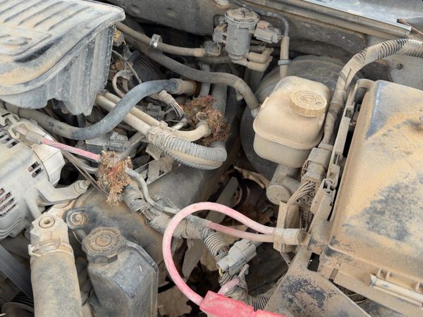 2004-2011 Dodge Dakota Driver Left Valve Cover Oem 3.7L 53021937Ac — photo 3